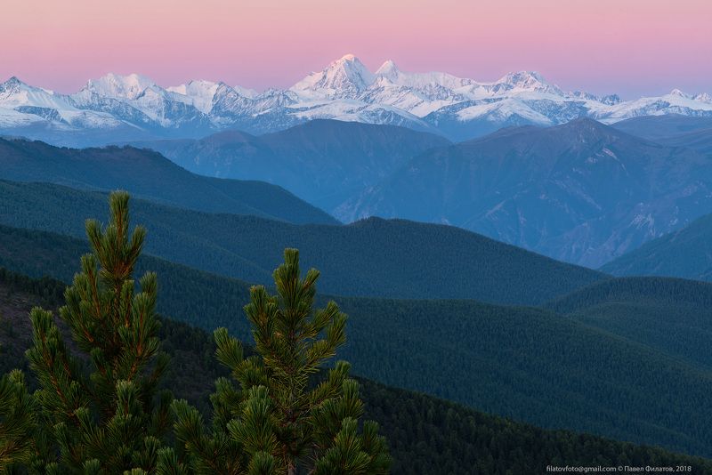 алтай, сибирь, белуха, рассвет, кедры Кедрово Предрассветнаяphoto preview
