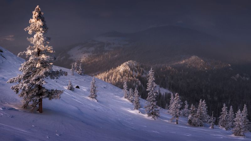 Ускользающий светphoto preview