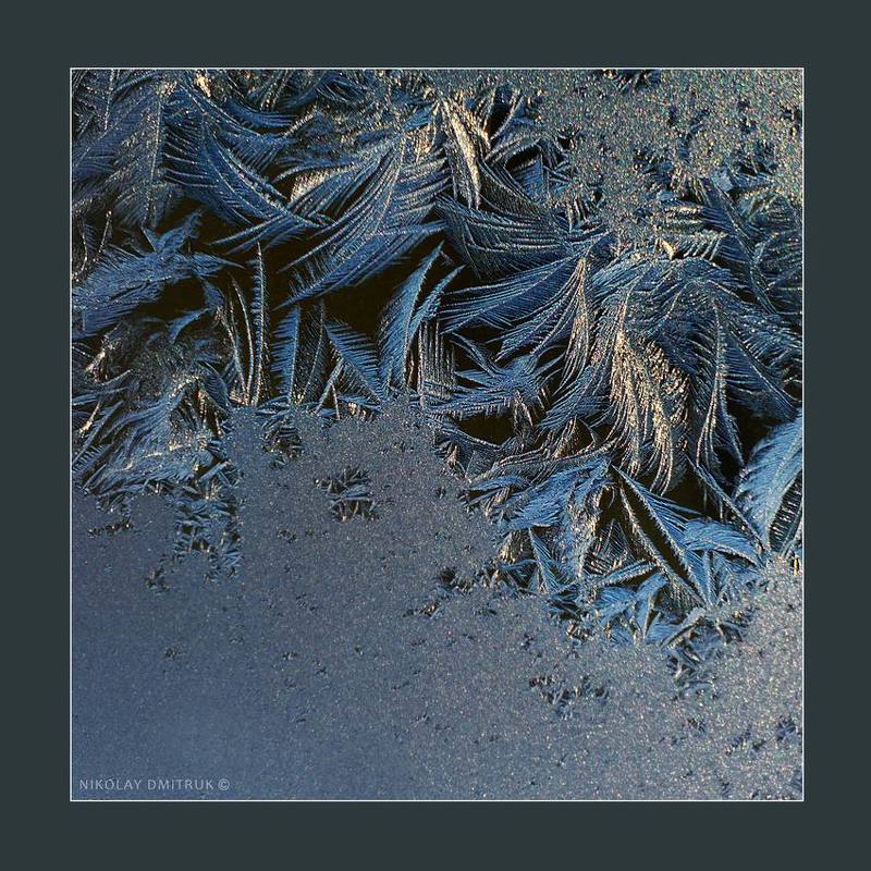 макро, мороз, музыка пурга. 2018photo preview