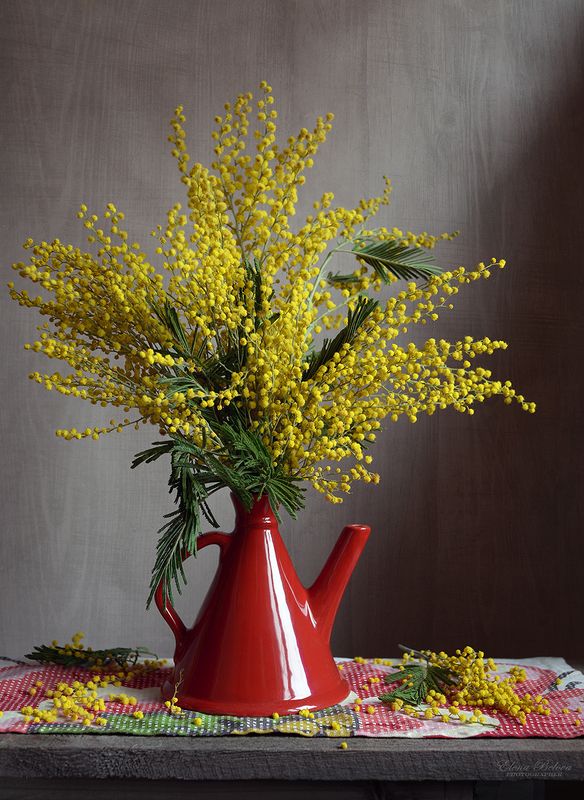 еленабелова, натюрморт Пришла.. чумачечая весна!)photo preview