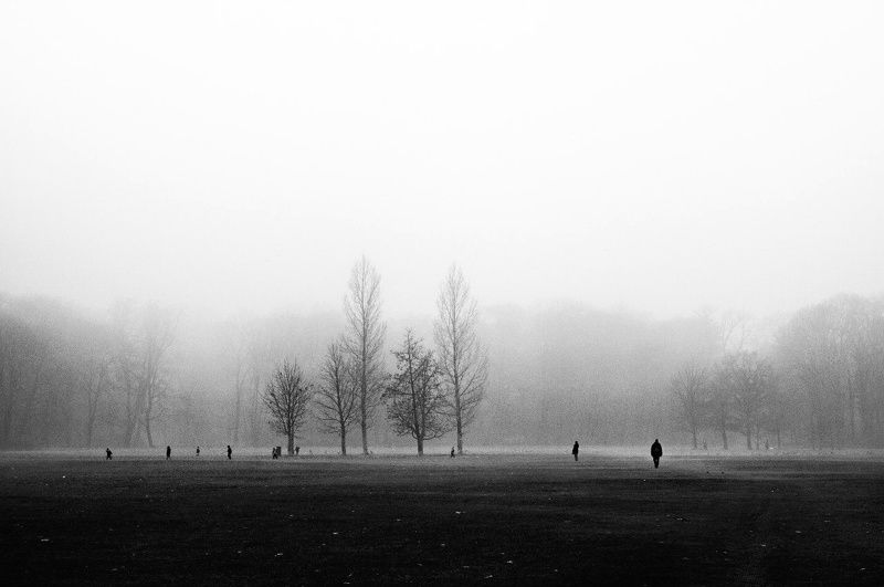 силуэт , пейзаж , чб Настроениеphoto preview