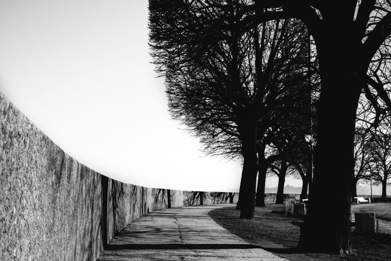 тени , чб Скверphoto preview