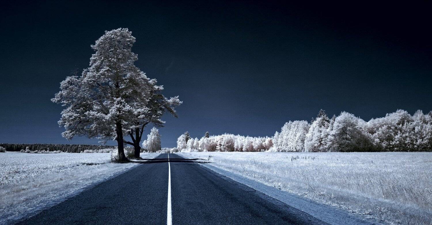 infrared,ик-фото,инфракрасное фото,инфракрасная фотография,пейзаж,природа,беларусь,лето, Sixten ( Сергей )