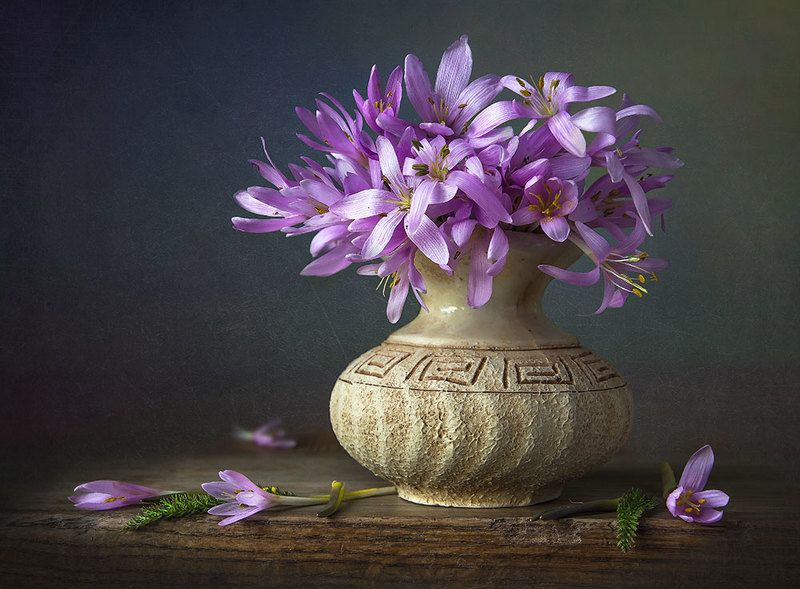 красивый натюрморт с подснежниками,крокусы,цветы,букет,художественное фото,искусство,творчество,костюченко людмила. Сиреневая нежность.photo preview