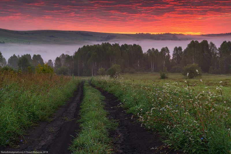 алтай, сибирь, заря, рассвет, предгорья, алтайский край, гречиха Рассвет в предгорьяхphoto preview