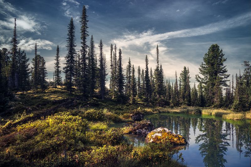 landscape, nature, taiga, lake, forest, rocks, cold, spectacular, пейзаж, природа, тайга, лес, глухая, красивая, озеро, камни, холодное, pure, transparent, morning, moss, чистое, прозрачное, утро, мох, siberia, ergaki, сибирь, ергаки, красноярский край Таежное озерцо / Tiny taiga lakephoto preview
