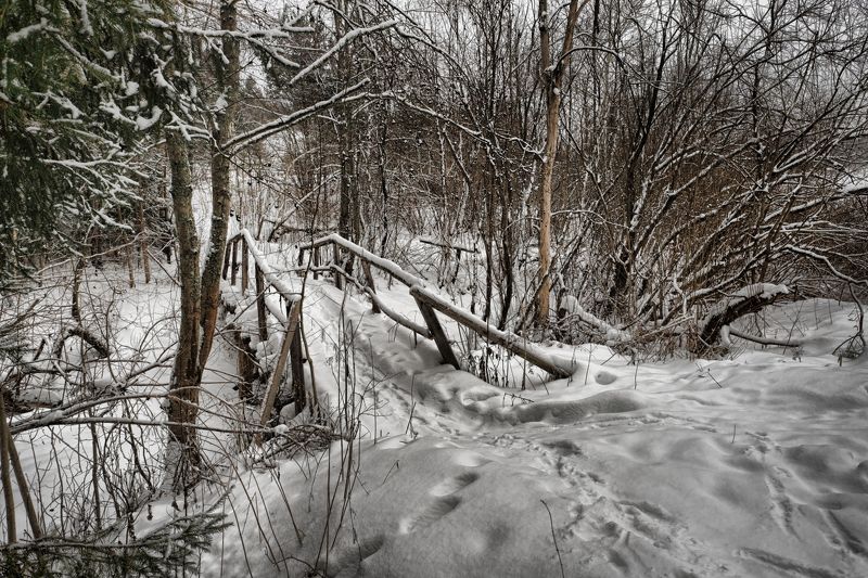 Пейзаж,зима,лес.тропа,мостик photo preview