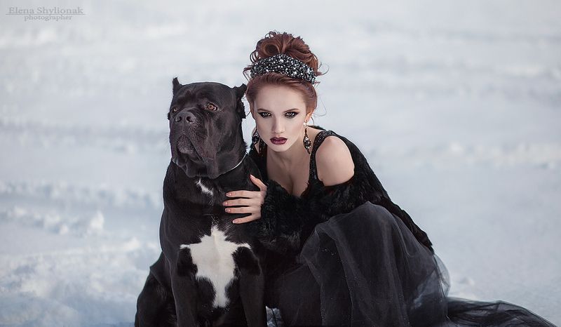 dark queen, crown, snow, winter, fairy tale, темная королева, корона, снег, зима, сказка dark queenphoto preview