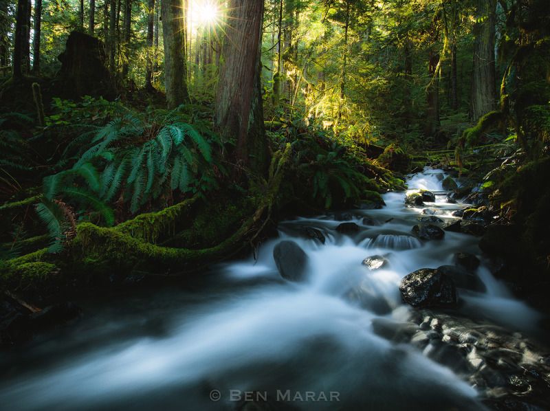 Intimate Landscapephoto preview