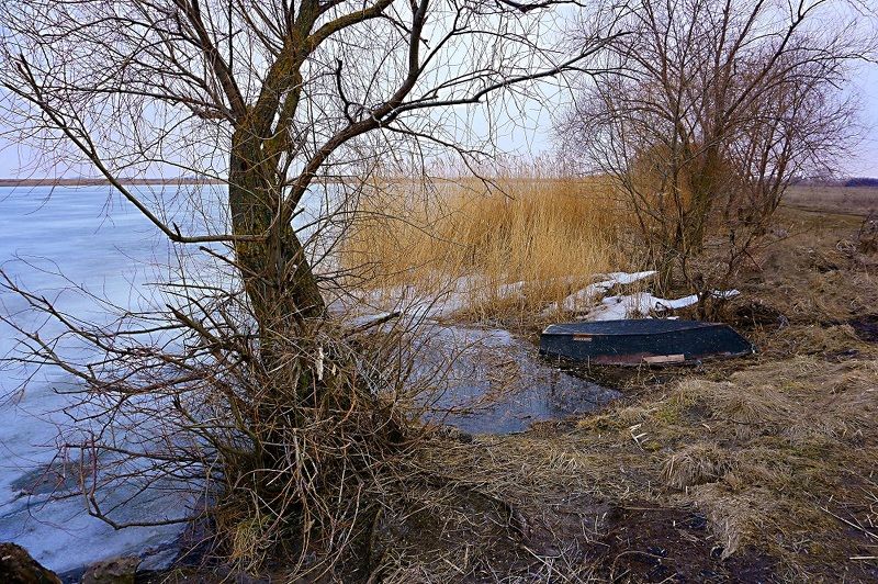 Начало весны. фото превью