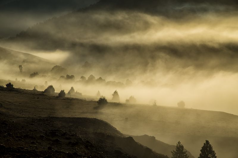 morning,lanscape,smook morningphoto preview