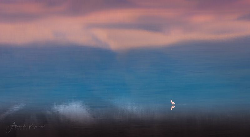 боливия,пейзаж, рассвет, laguna blanca Laguna Blanca, Боливия.photo preview