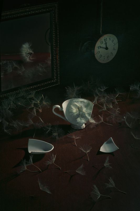 Когда одуванчики были большимиphoto preview