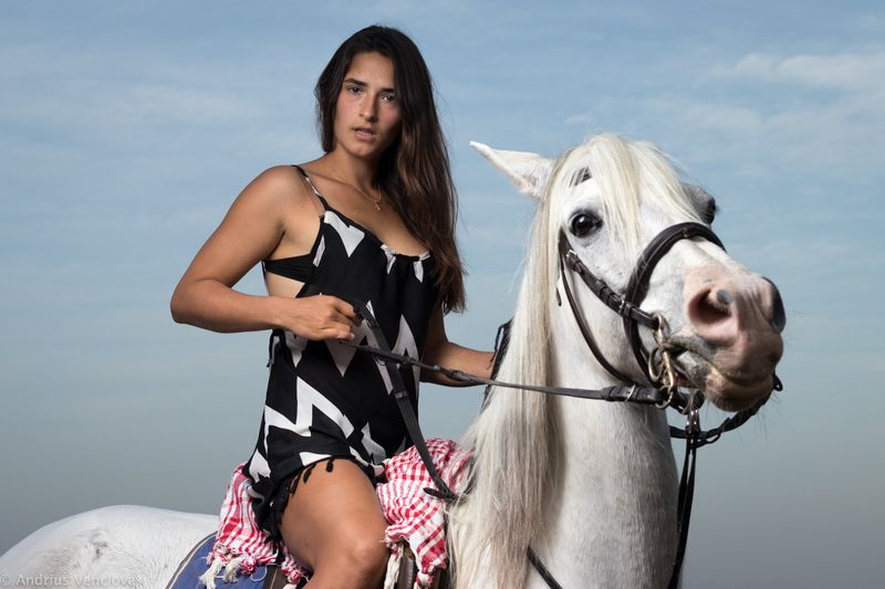 на белом конеphoto preview