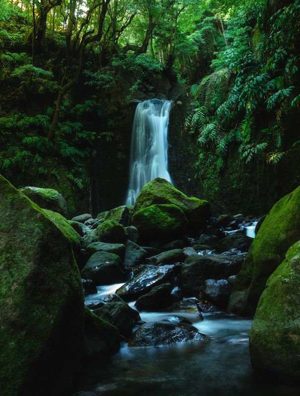 португалия, азорские острова, сан мигел, остров, водопад, лес, океан, длинная выдержка, тропики, скалы, атлантический океан Salto do Pregophoto preview