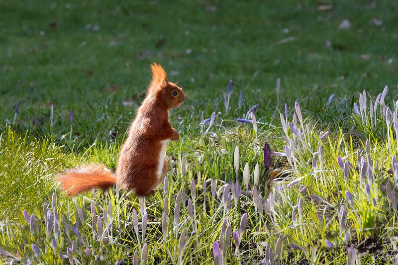 неужто, опять веснаphoto preview