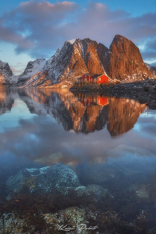 Living in paradisephoto preview