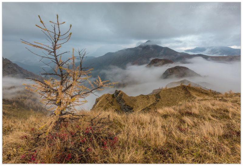 доломиты, италия, осень, пасмурно, утро Хмурое утро в Доломитахphoto preview