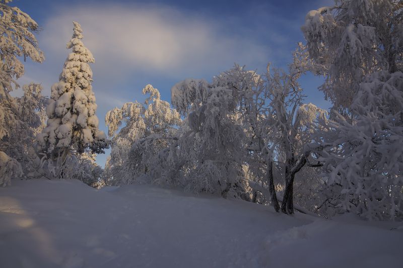 Зимний этюд...photo preview