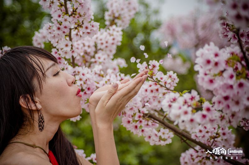展覽專屬攝影, 旅遊專屬攝影, 個人專屬攝影, 攝影師出租, 雙北, 專屬人像攝影, PortraitPhotography, ProPhotography, sexy, sexygirl, 性感, 戶外人像, 北海岸秘境性感, 旅遊跟拍, 旅行跟拍, 展覽跟拍, 旅遊側拍寫真, 個人形象拍攝, 體育活動紀錄, 活動紀錄拍攝, 孕婦寫真, 閨密寫真, 櫻花, 吉野櫻, 櫻吹雪,  櫻吹雪photo preview