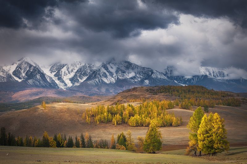 алтай осень Осеннее настроениеphoto preview