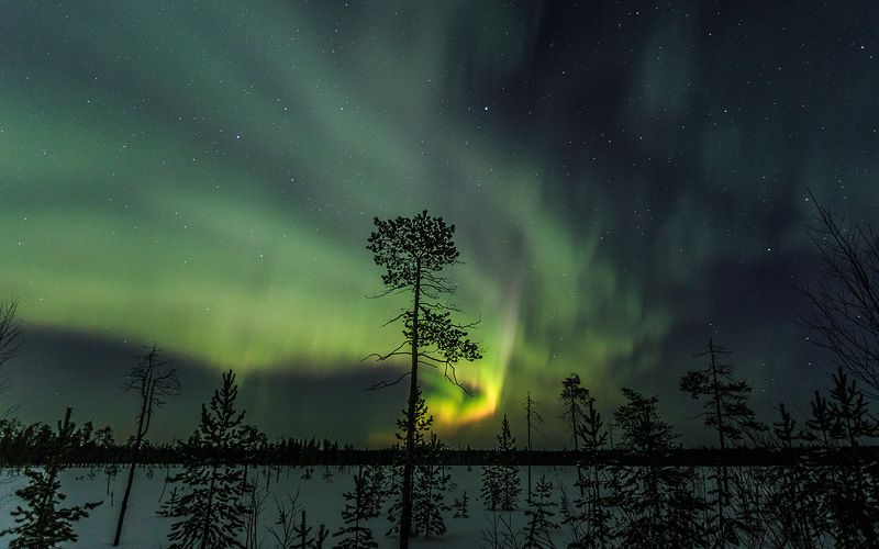 северное сияние,ночь,природа,коми,север Печора не плохо посияла 19.03.18г фото превью