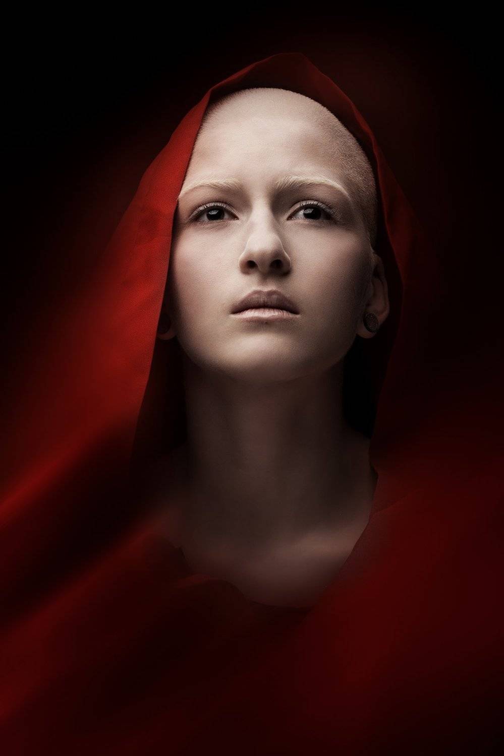 Laibach, Declaration Of Freedom. Автор: Шипов Олег red declaration of freedom, Шипов Олег