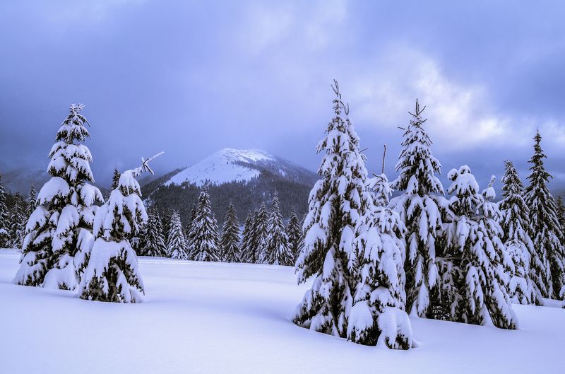 карпаты, горганы, зима, снег ***photo preview