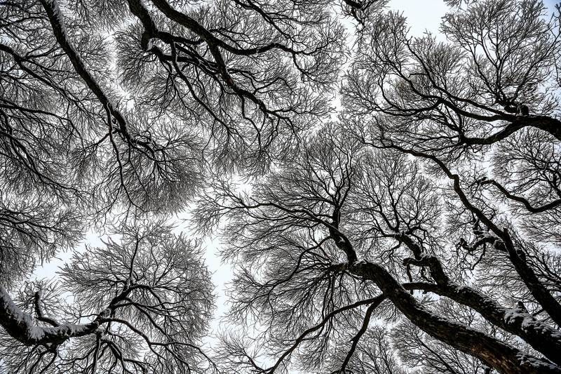 Поднимая взгляд.photo preview