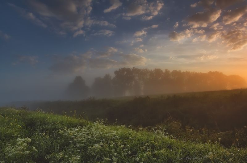 landscape, tsarskoyeselo, пейзаж, питер, царскоесело, царское К лету.....photo preview