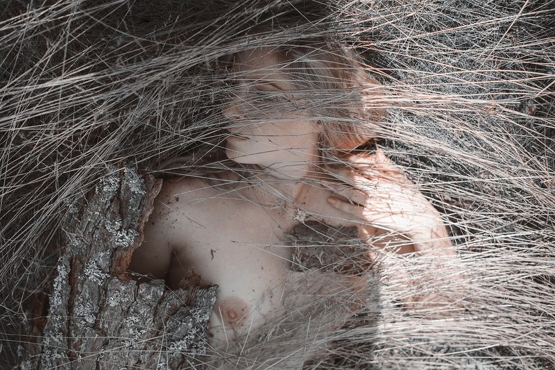 solitude / transmogrifyphoto preview