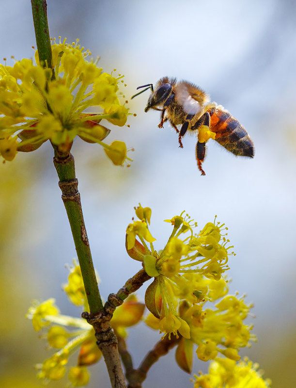Захожу на посадкуphoto preview