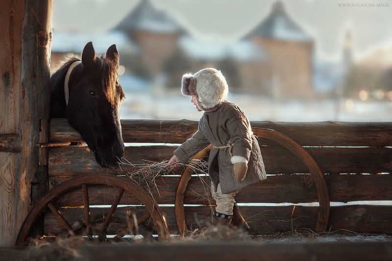 На фермеphoto preview