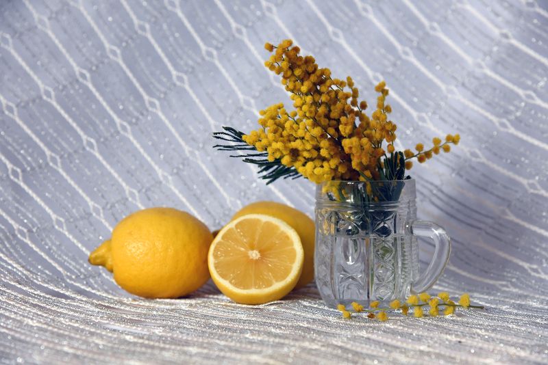 Мимозаphoto preview