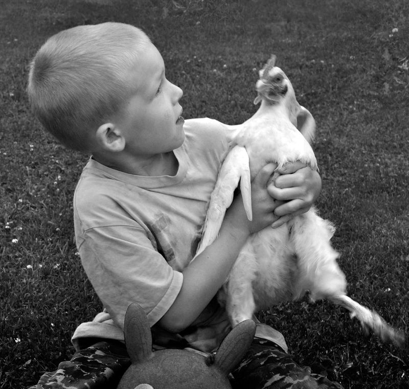 деревня, детство Сельский малышphoto preview