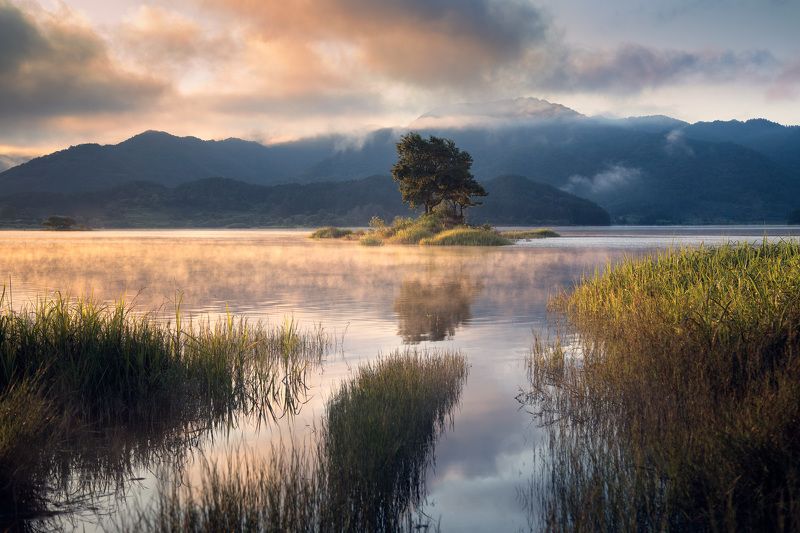 Morning Calm photo preview