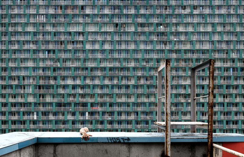 Автопортретphoto preview