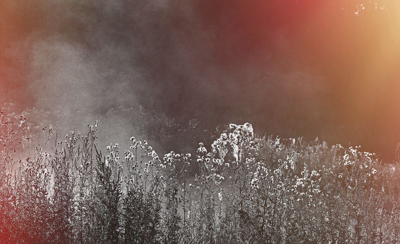 photo, photo studio, photo travel, photo nature, woomen Texturephoto preview