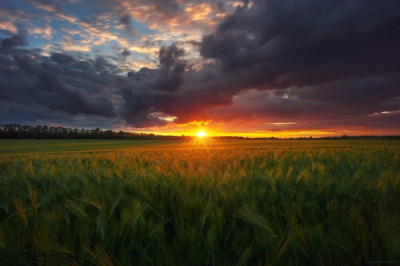 Родные просторыphoto preview