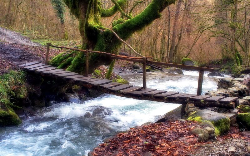 мостик река Мостик. Времена года.photo preview