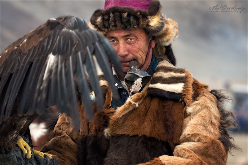 монголия, фестиваль охотников с беркутами, западная монголия, altai eagle festival, азия, golden eagle festival, охотники с беркутами, осень, golden eagle, mongolia, asia, фототур в монголию, фототур на алтай, фототуры по россии, фототур в монголию в 2019 Монголия: люди.. лица.. птицы.. (#1)photo preview