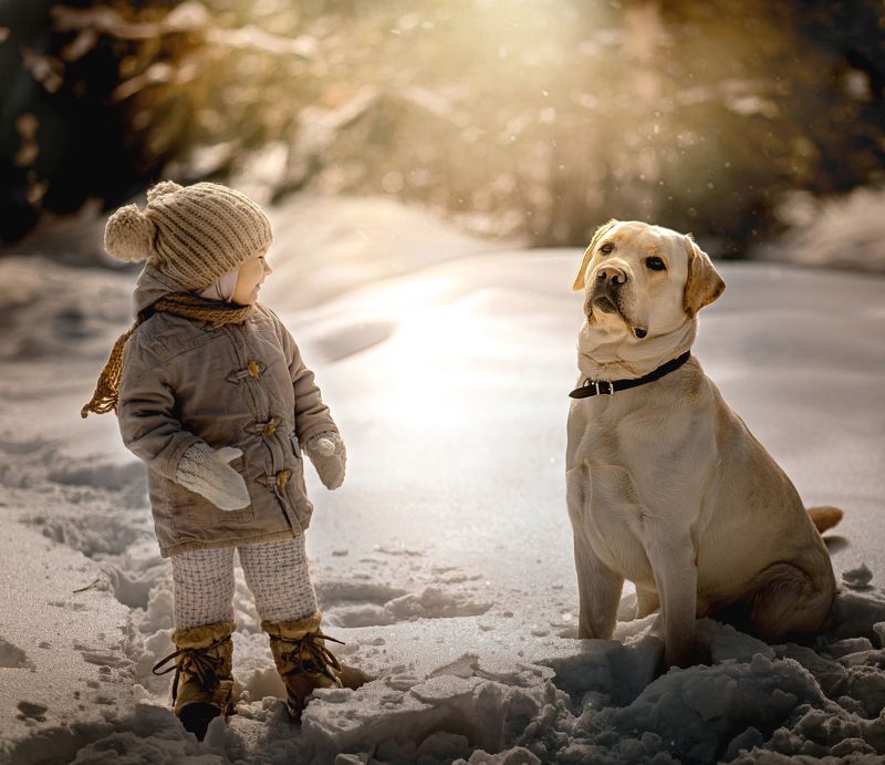 Большой другphoto preview