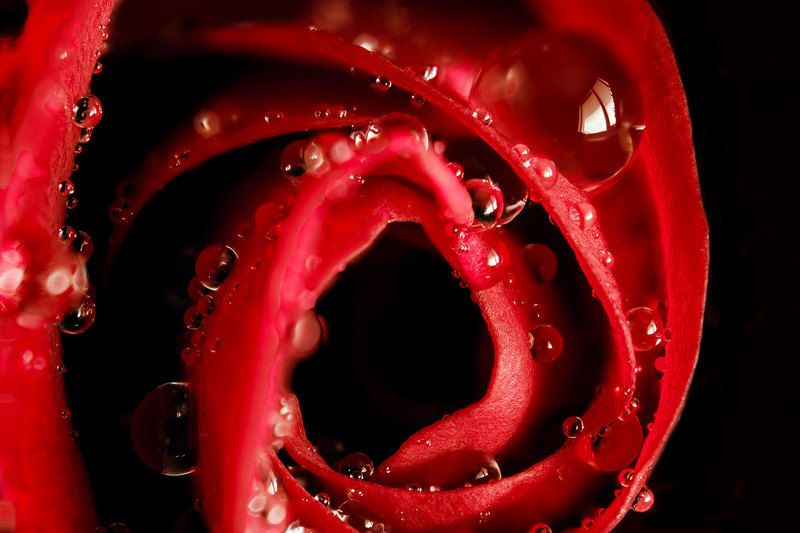 У окнаphoto preview