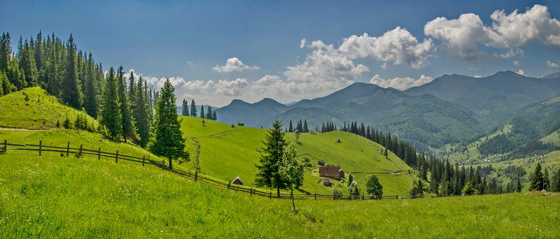 карпаты, июнь, дземброня, черногорский хребет Карпатские просторыphoto preview