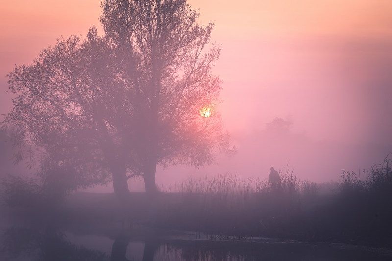 В тумане нет ответов на вопросы...photo preview