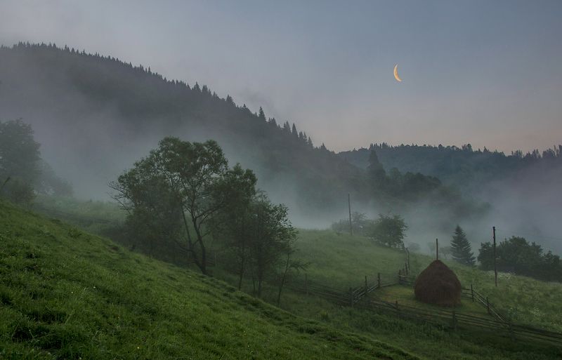 карпаты, июнь, дземброня, утро, туман Предрассветный туман уходящийphoto preview