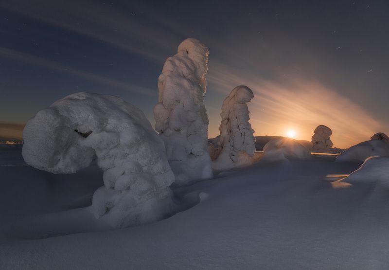 кольский, волосяная Ночные стражи.photo preview