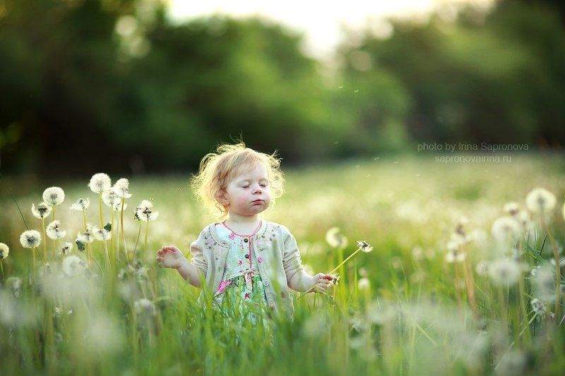 в одуванчикахphoto preview