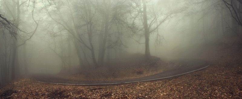 Туман, дорога Поворотphoto preview