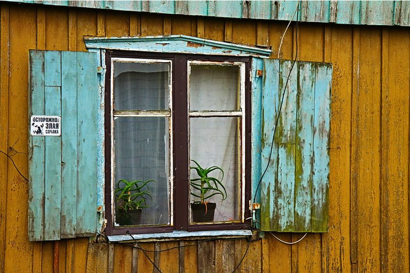 АЛОЭphoto preview